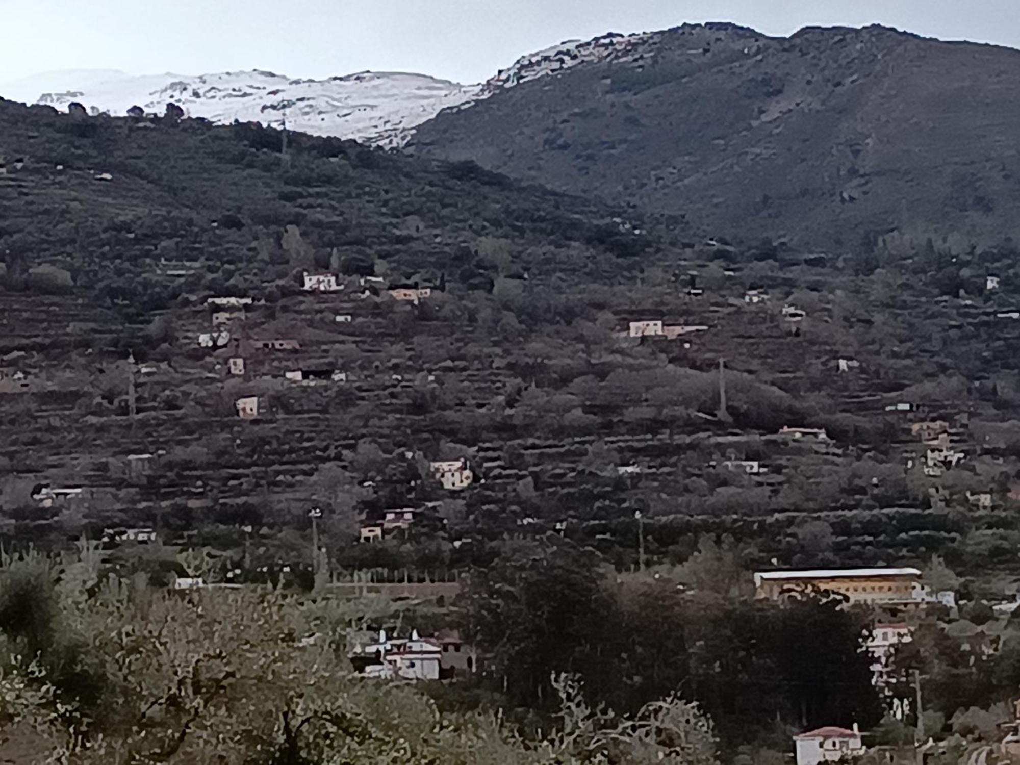 Casa Rural Chalet Venta Del Aire Cortijo Terron Lanjarón Dış mekan fotoğraf
