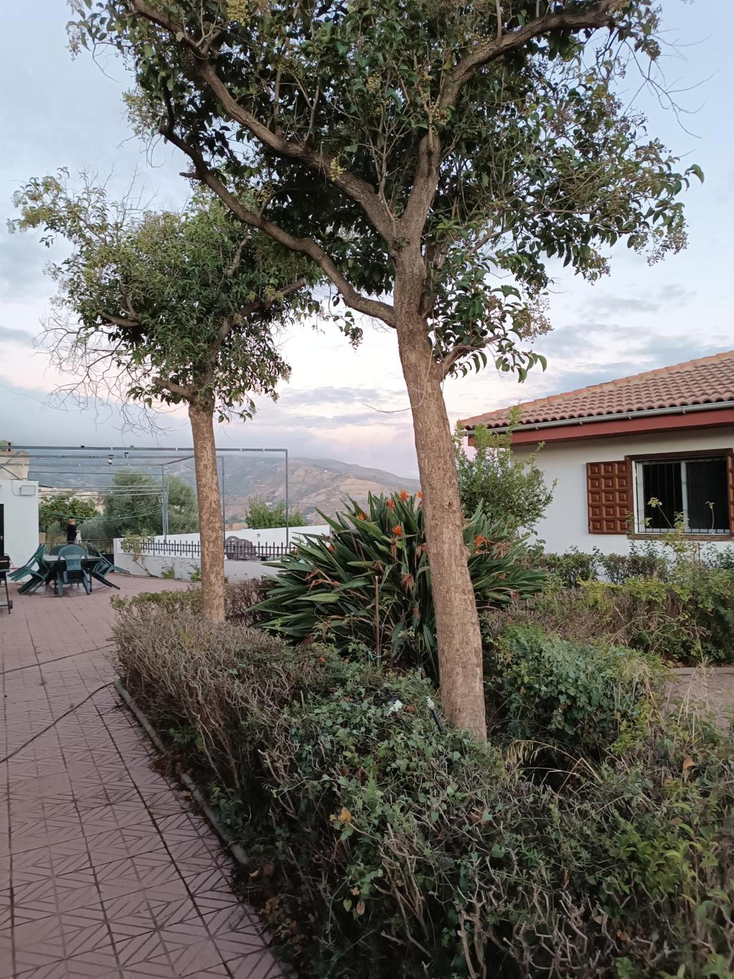 Casa Rural Chalet Venta Del Aire Cortijo Terron Lanjarón Dış mekan fotoğraf